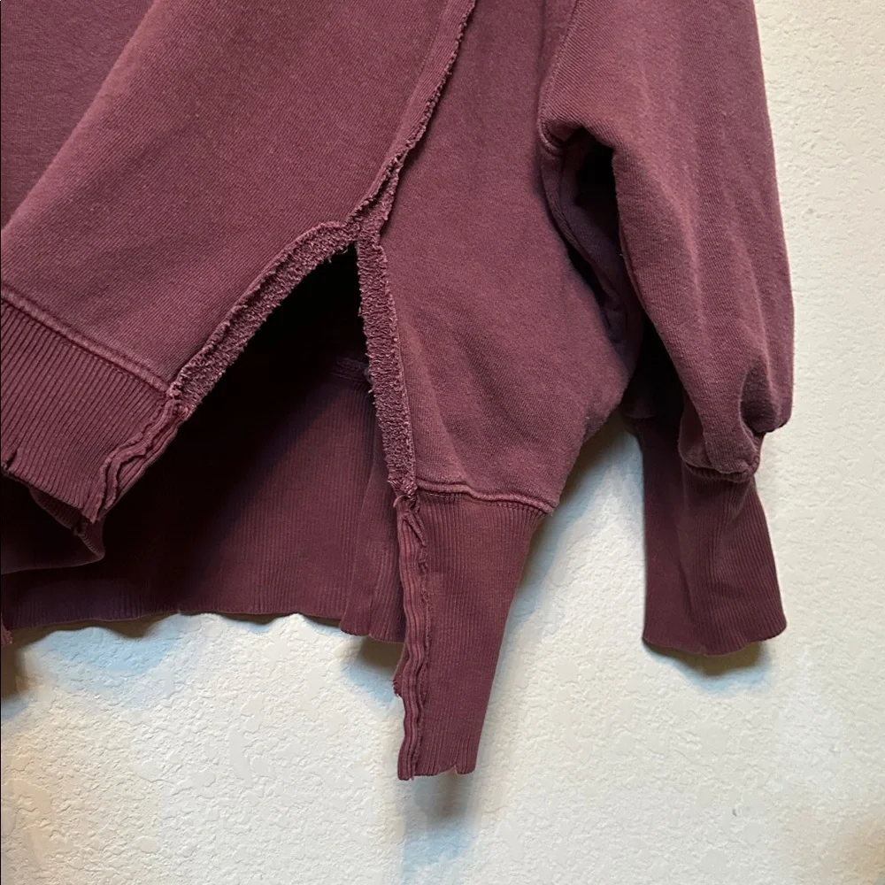 NWT Free People We The Free | Camden Sweatshirt Pullover | XS